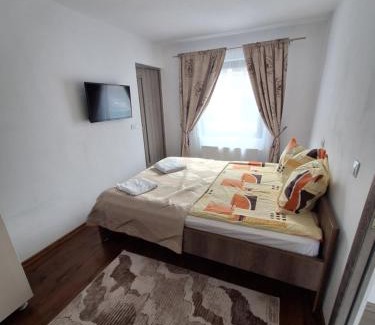 Ideciu de Jos House | Casa Mara