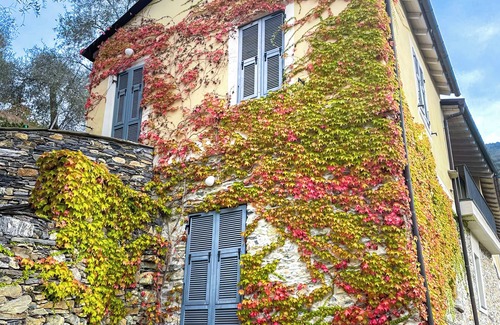 Pieve di Teco House | casa Maremonti - Ligurian country house in perfect tranquility, Maritime Alps and sea