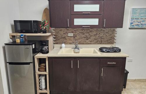 La Pared Apartment | Casa Maria Luquillo PR