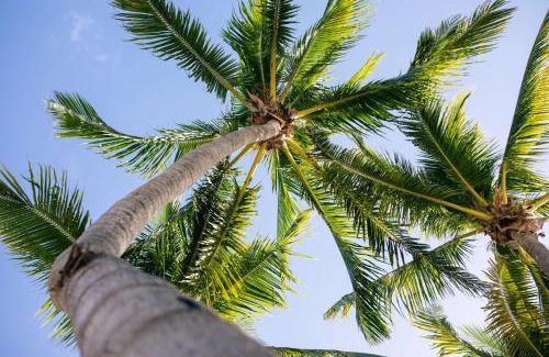 Old Town Resort | Casa Marina Key West, Curio Collection by Hilton