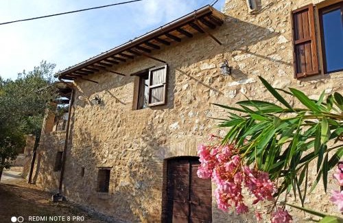 Matigge House | Casa Matigge