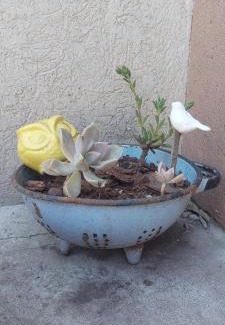 Villa Brown House | Casa Merida