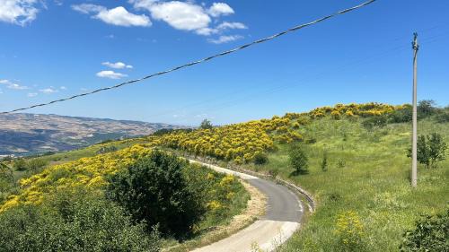 Rapone Apartment | Casa Nicola