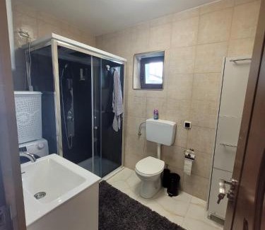 Oradea Villa | Casa Odessei 9 Oradea fara petreceri de orice forma