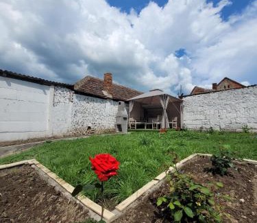 Oradea Villa | Casa Odessei 9 Oradea fara petreceri de orice forma