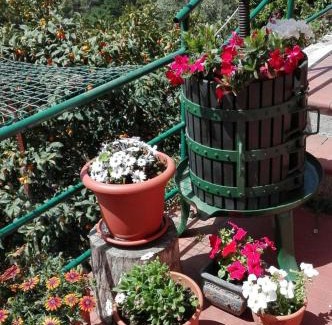 Lavaggiorosso House | Casa Ofelia