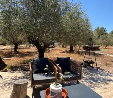 Navarres Apartment | Casa Olivero