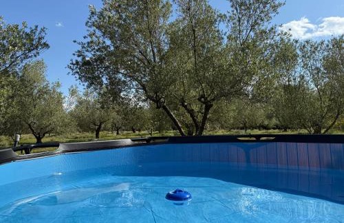 Navarres Apartment | Casa Olivero