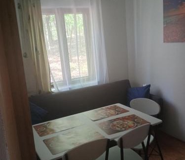 Gura Suhasului House | Casa Padurarului