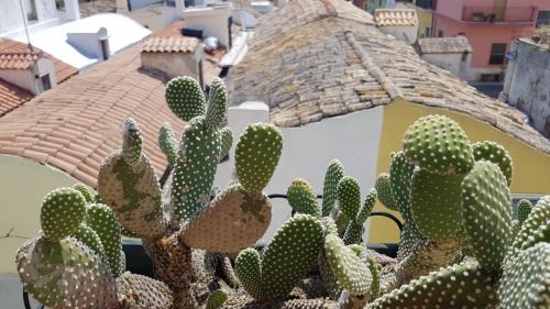 Bernalda Apartment | Casa Pellico