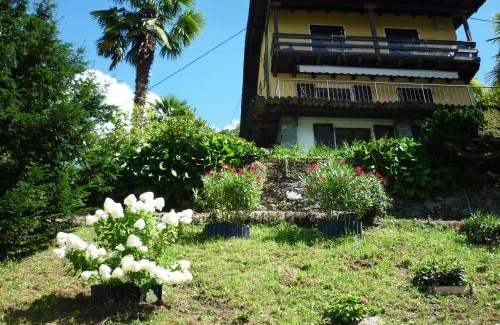 Magadino Apartment | Casa Petra