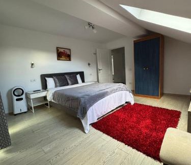 Calimanesti Hotel | Casa Popescu