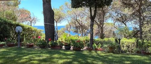 Quercianella Apartment | Casa Quercia
