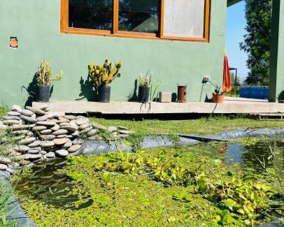 Abasto House | Casa Quinta Koi