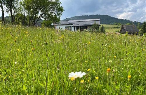 Toplita House | Casa Ranio