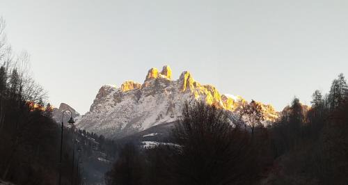 Mezzano Apartment | Casa Renzo - Dolomiti - Trentino