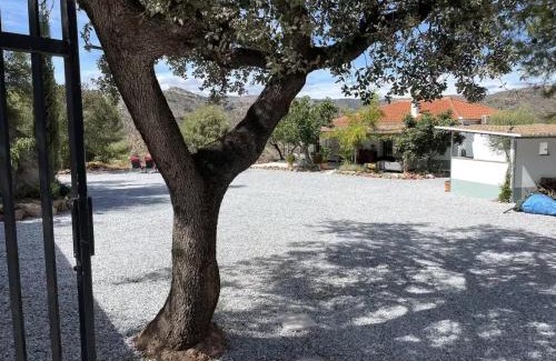 Comares House | Casa Rocas Private Pool with swimjet!