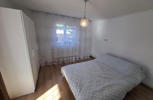 Hidiselu de Sus House | Casa Rozi