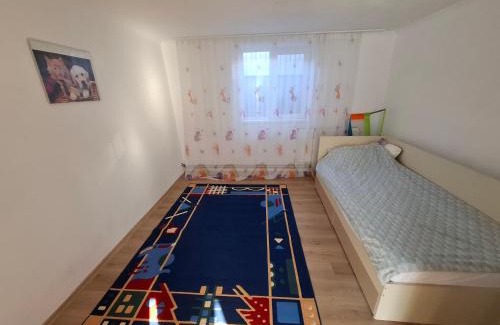 Hidiselu de Sus House | Casa Rozi