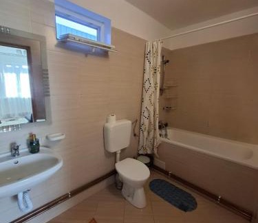 Hidiselu de Sus House | Casa Rozi