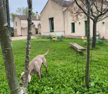 El Bosque Hotel | Casa Rural El Vihuelo