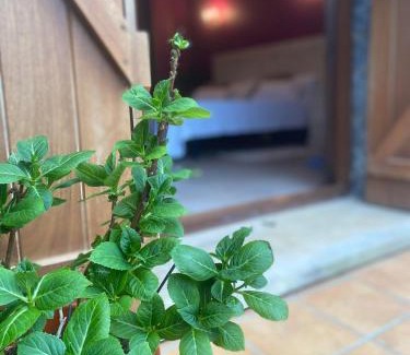 Renteria House | casa rural larre aundi