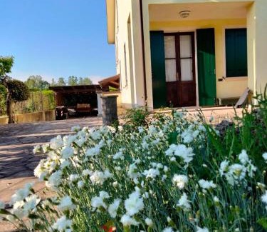 Montegrotto Terme Apartment | Casa Sandra