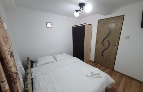 Toplita House | Casa Sandu