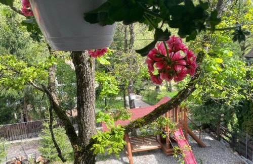 Baile Chirui House | Casa Sofia