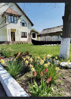 Murighiol House | Casa Sofia