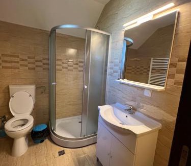 Cluj-Napoca House | Casa Soporan