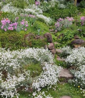 Sighisoara Apartment | CASA SPERANTEI