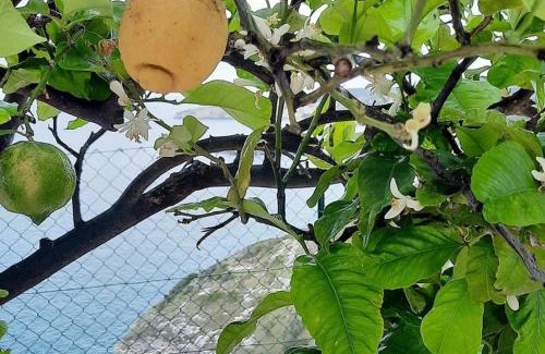 Peschici Apartment | Casa sul mare