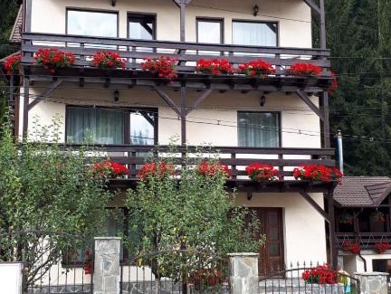 Busteni House | Casa Tad