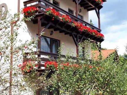 Busteni House | Casa Tad