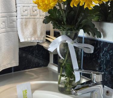 Mahmudia House | Casa Teo