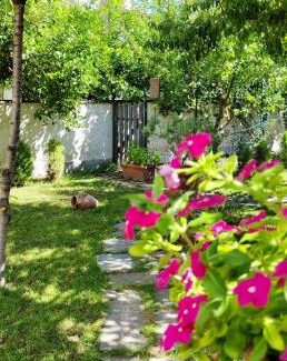 Torre Annunziata Apartment | Casa Teresinella Garden