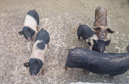 Seulo Apartment | Casa ticci