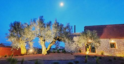 Fatima House | Casa Tosca