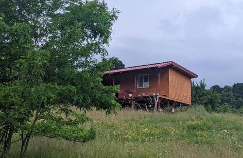 Rotarasti Ski Chalet | Casa Tranquila