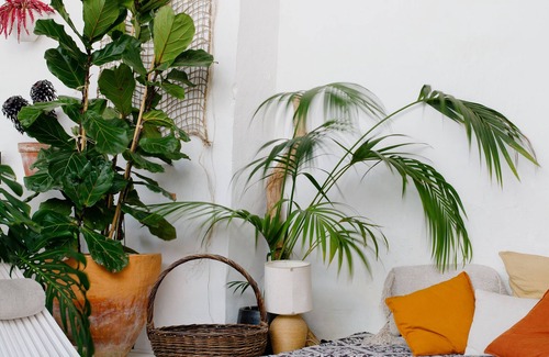 Obidos Apartment | Casa Tudo Bem, Appartement Bougui