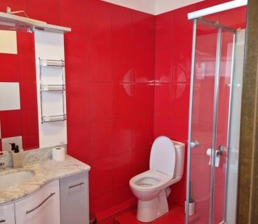 Selimbar House | Casa Tudor