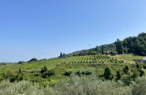 Lucca Apartment | Casa vacanze colline lucchesi