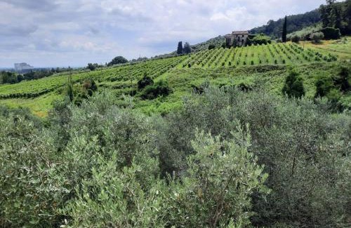 Lucca Apartment | Casa vacanze colline lucchesi