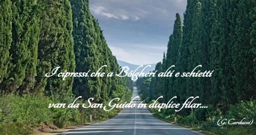 Sassetta House | Casa Vacanza Francesca #10