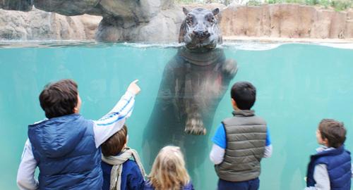 Giaveno Apartment | CASA VACANZA GIAVENO - 8 KM Sacra di San Michele