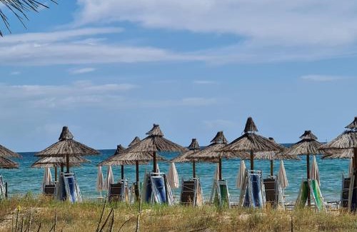 Pineto Villa | Casa Vacanza Villino dei Poeti