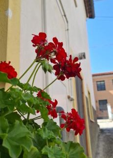 Bagnaturo House | Casa Vacanze al Vicoletto