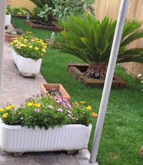 Querceta House | Casa vacanze da Gigi