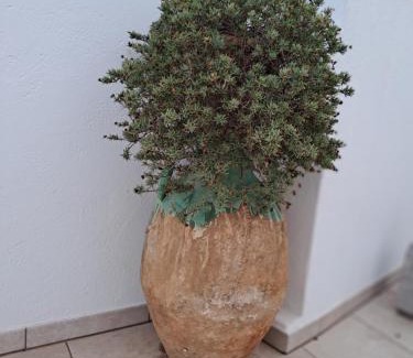 Lucugnano House | Casa Vacanze EMY